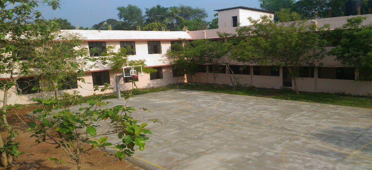 GPTC NDD